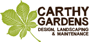 CarthyLOGO-colour-small