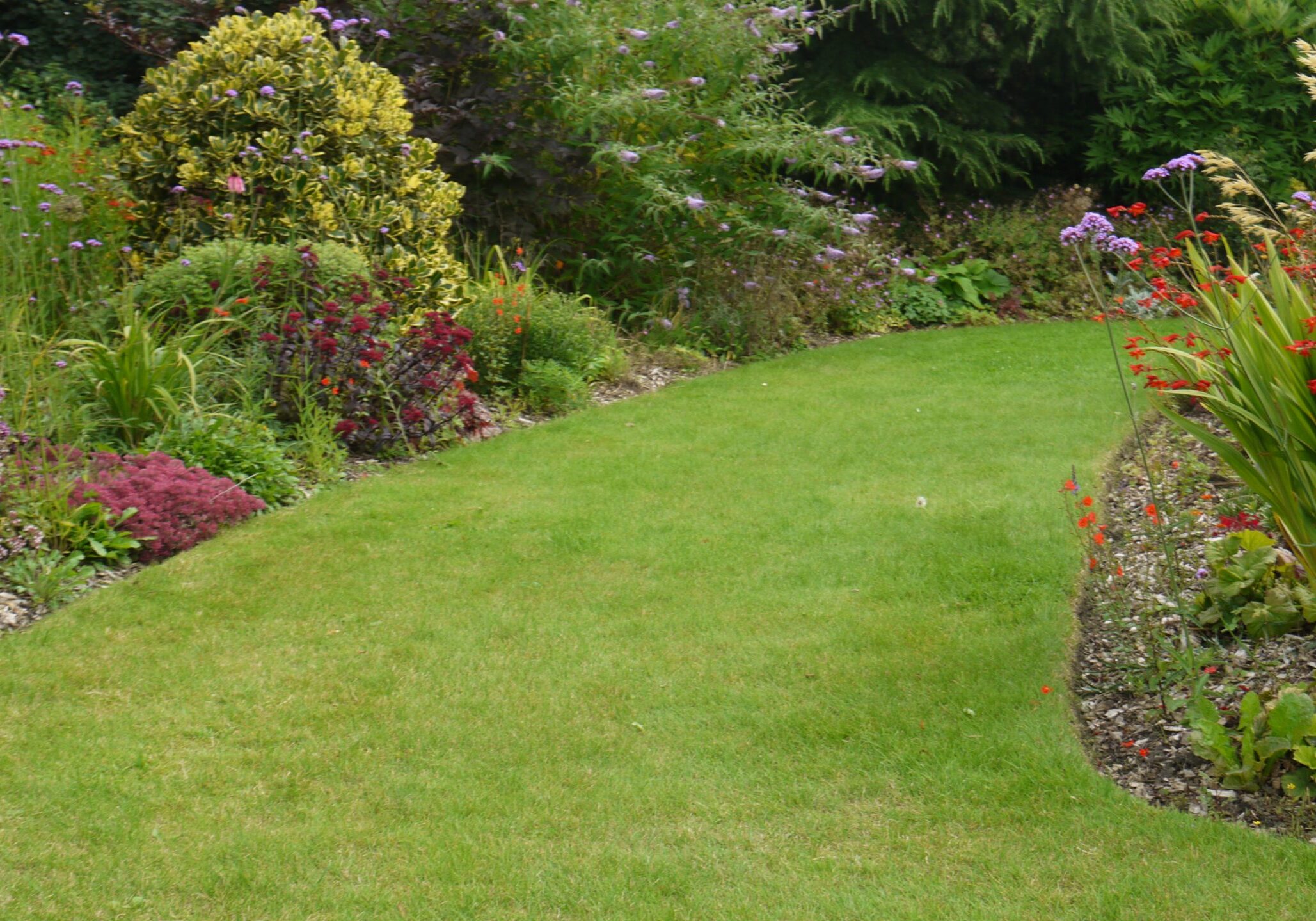Carthy Gardens - garden
